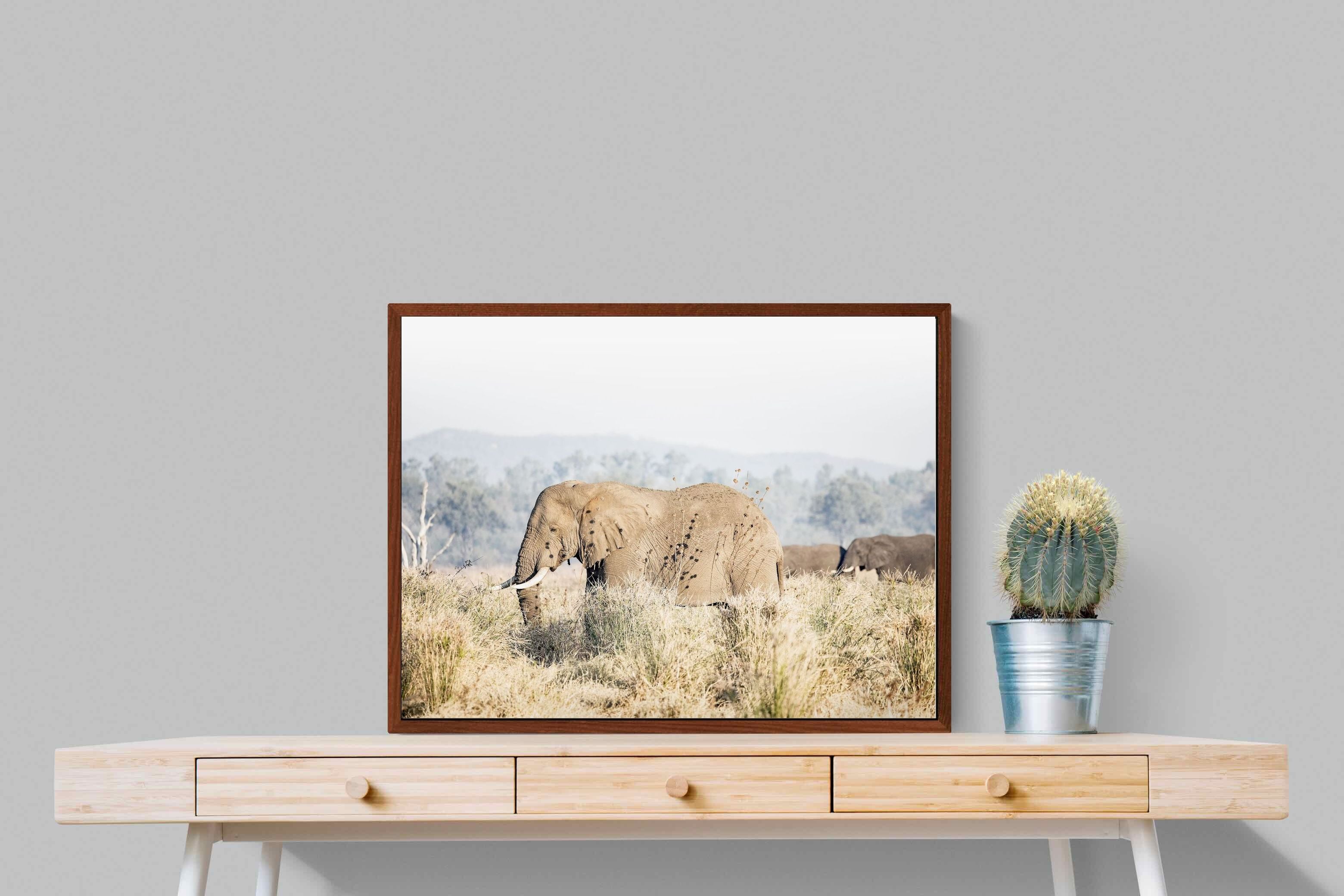 Pixalot Elephant in Leonotis