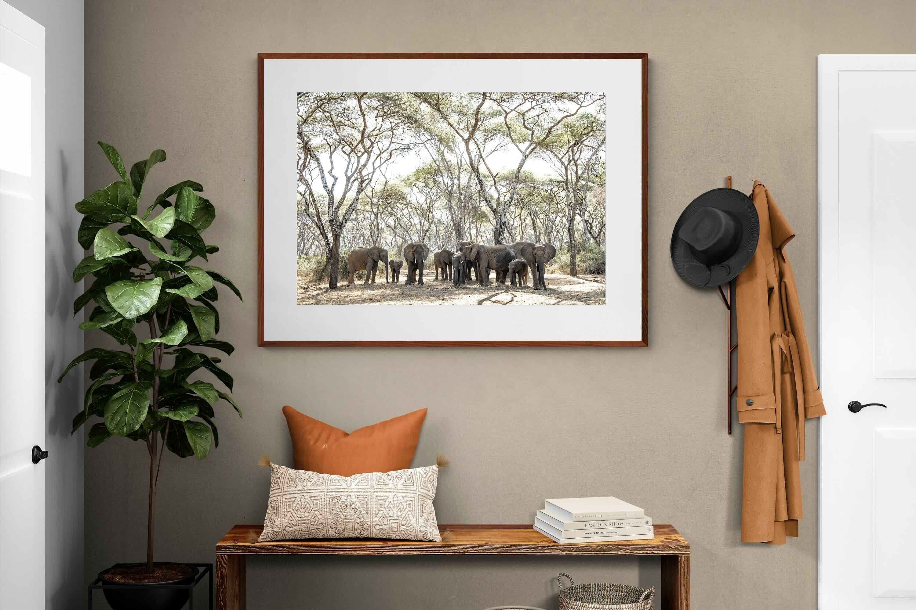 Pixalot Elephants Under Umbrellas