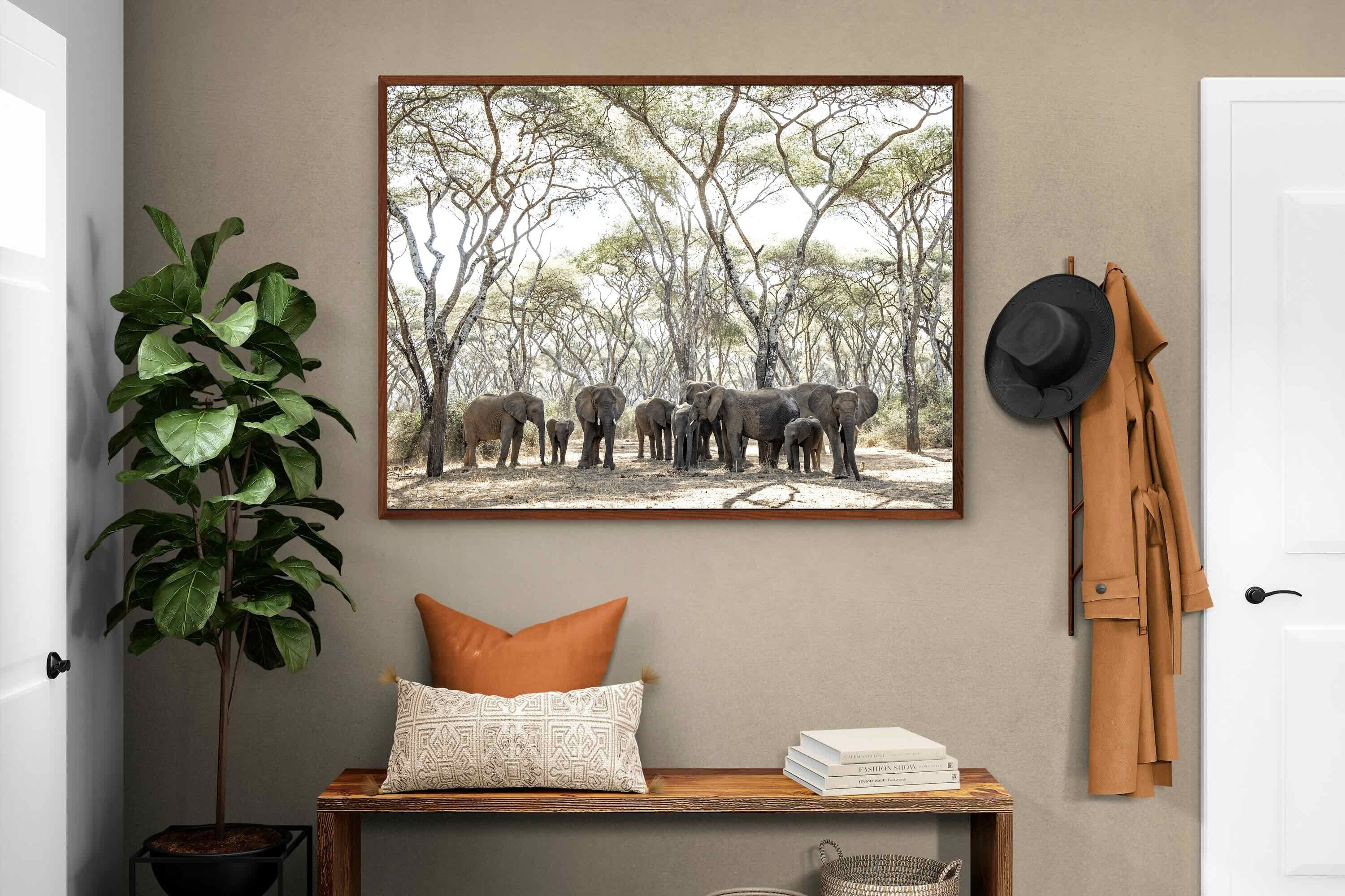 Pixalot Elephants Under Umbrellas