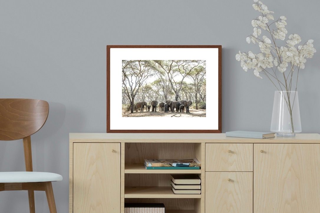 Pixalot Elephants Under Umbrellas