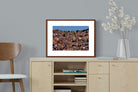 Pixalot Favela da Rocinha