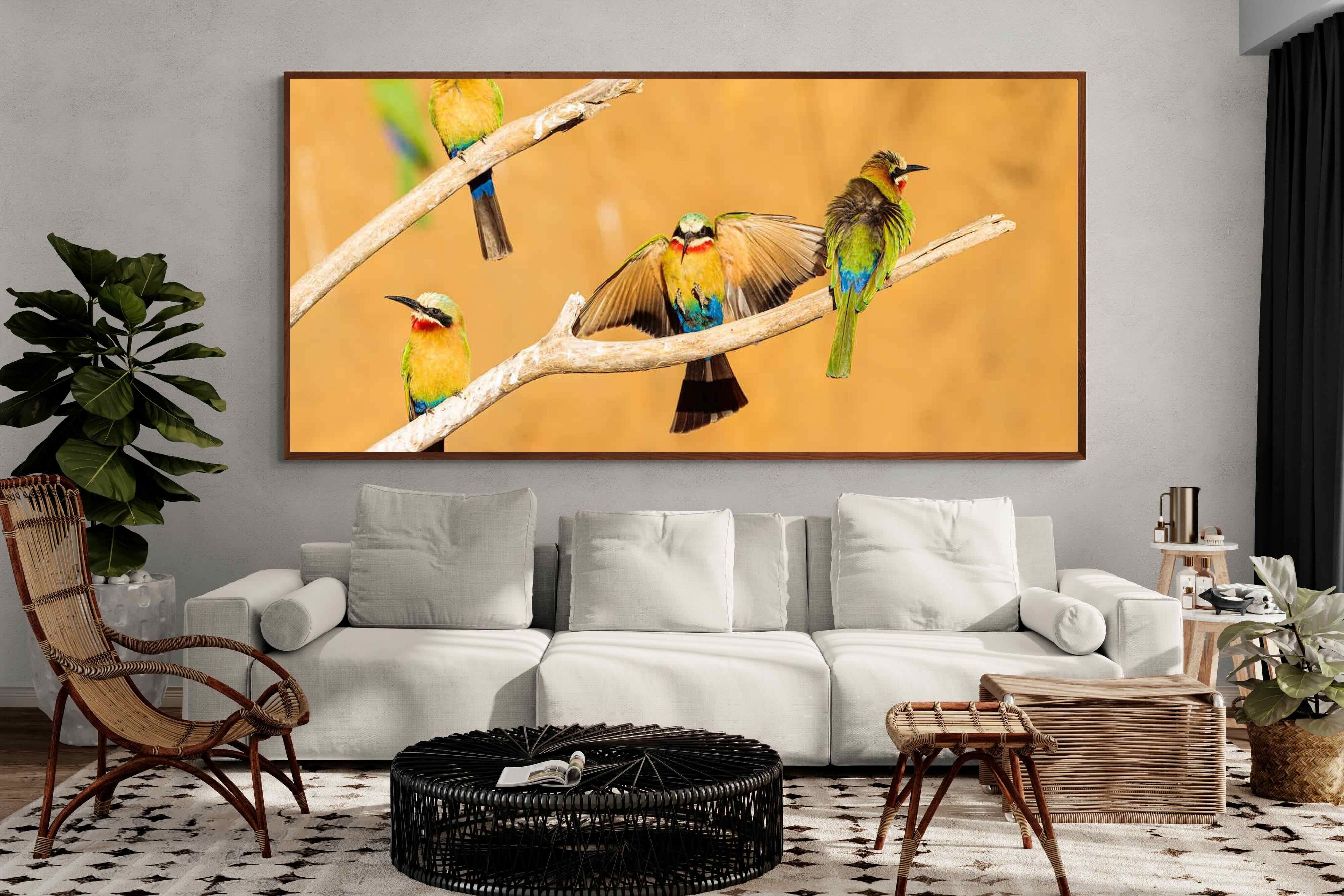 Pixalot ® Feathered Friends
