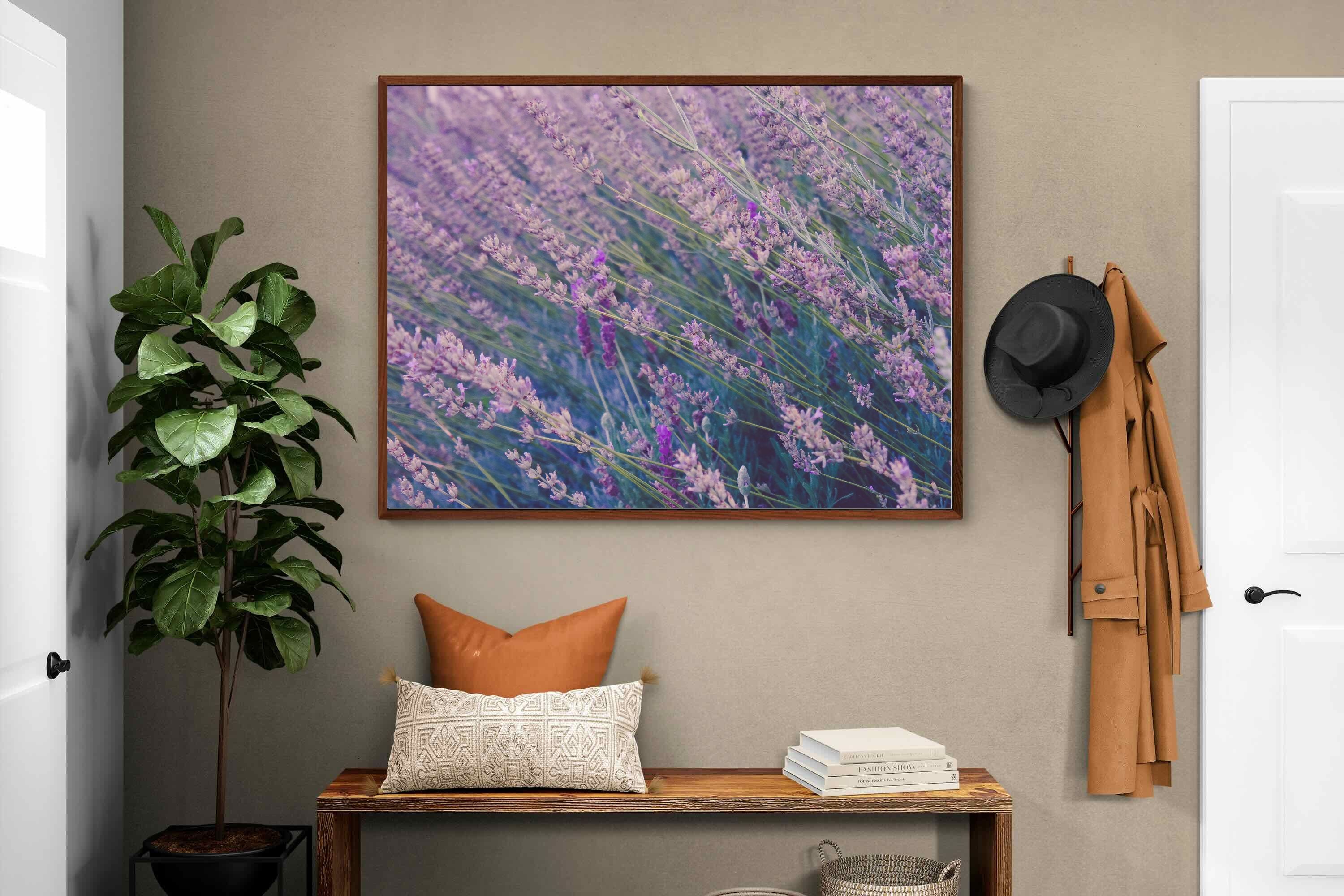 Pixalot ® Fields of Lavender
