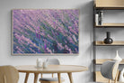 Pixalot Fields of Lavender