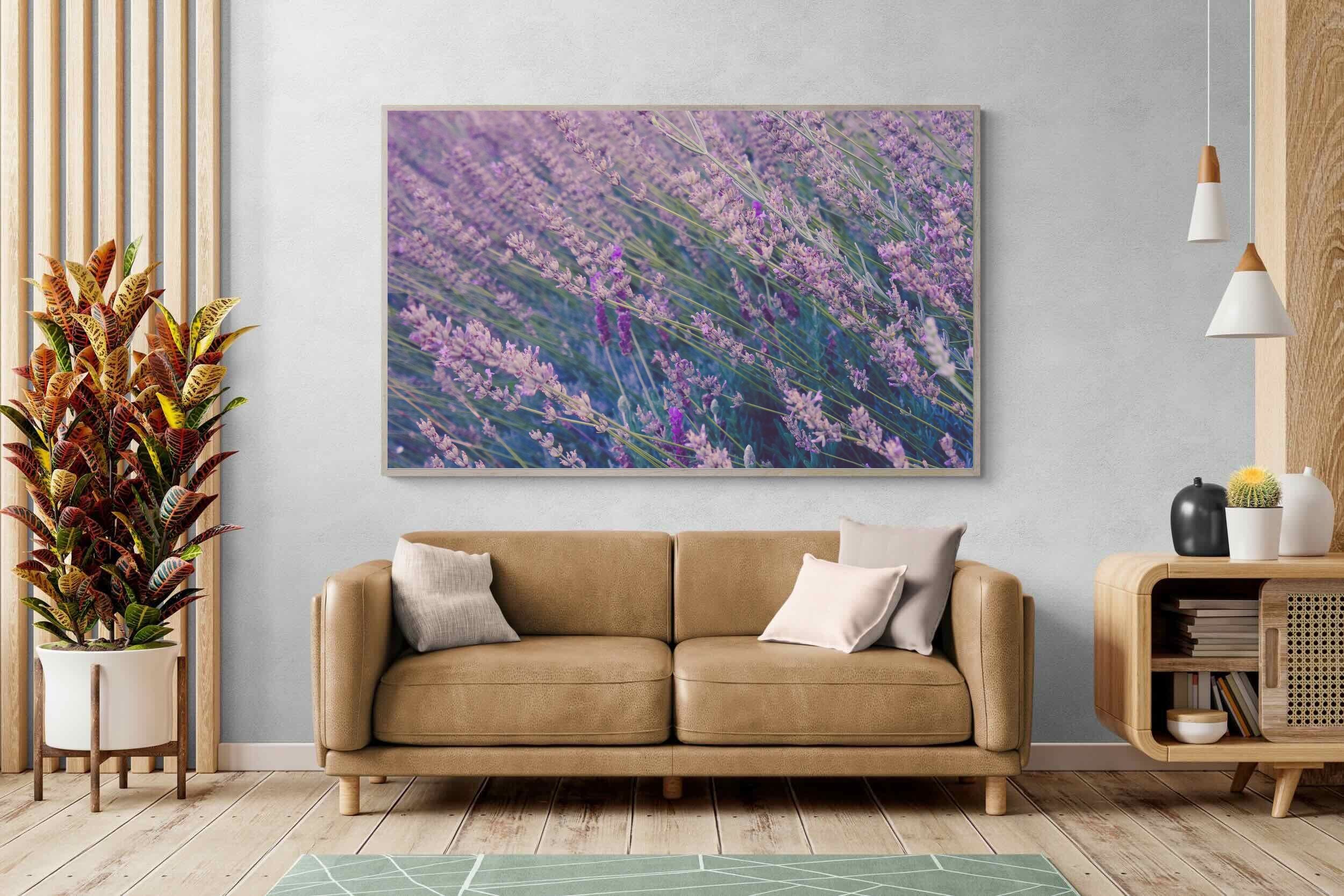 Pixalot Fields of Lavender