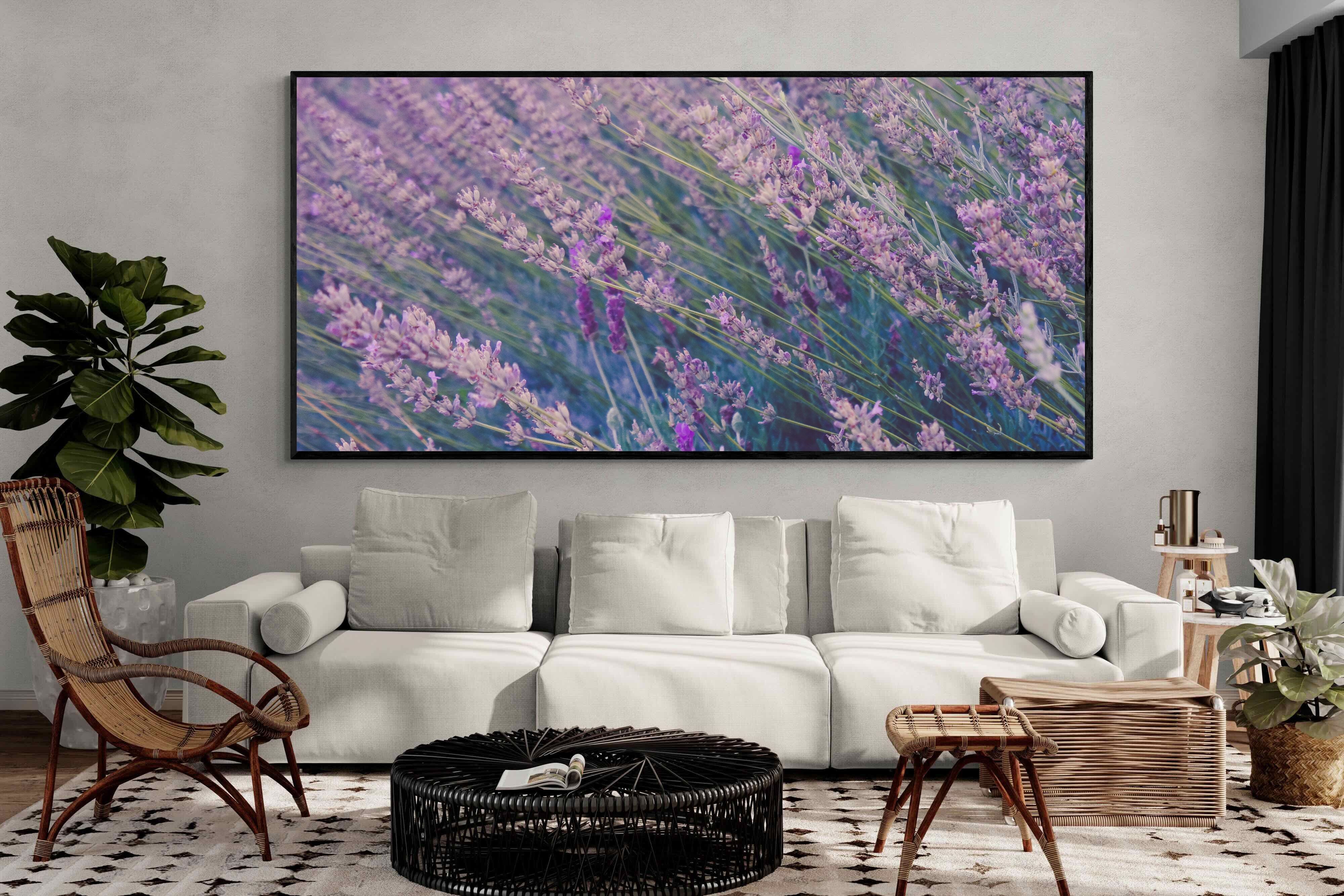 Pixalot Fields of Lavender