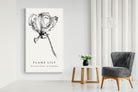 Pixalot ® Flame Lily Illustration