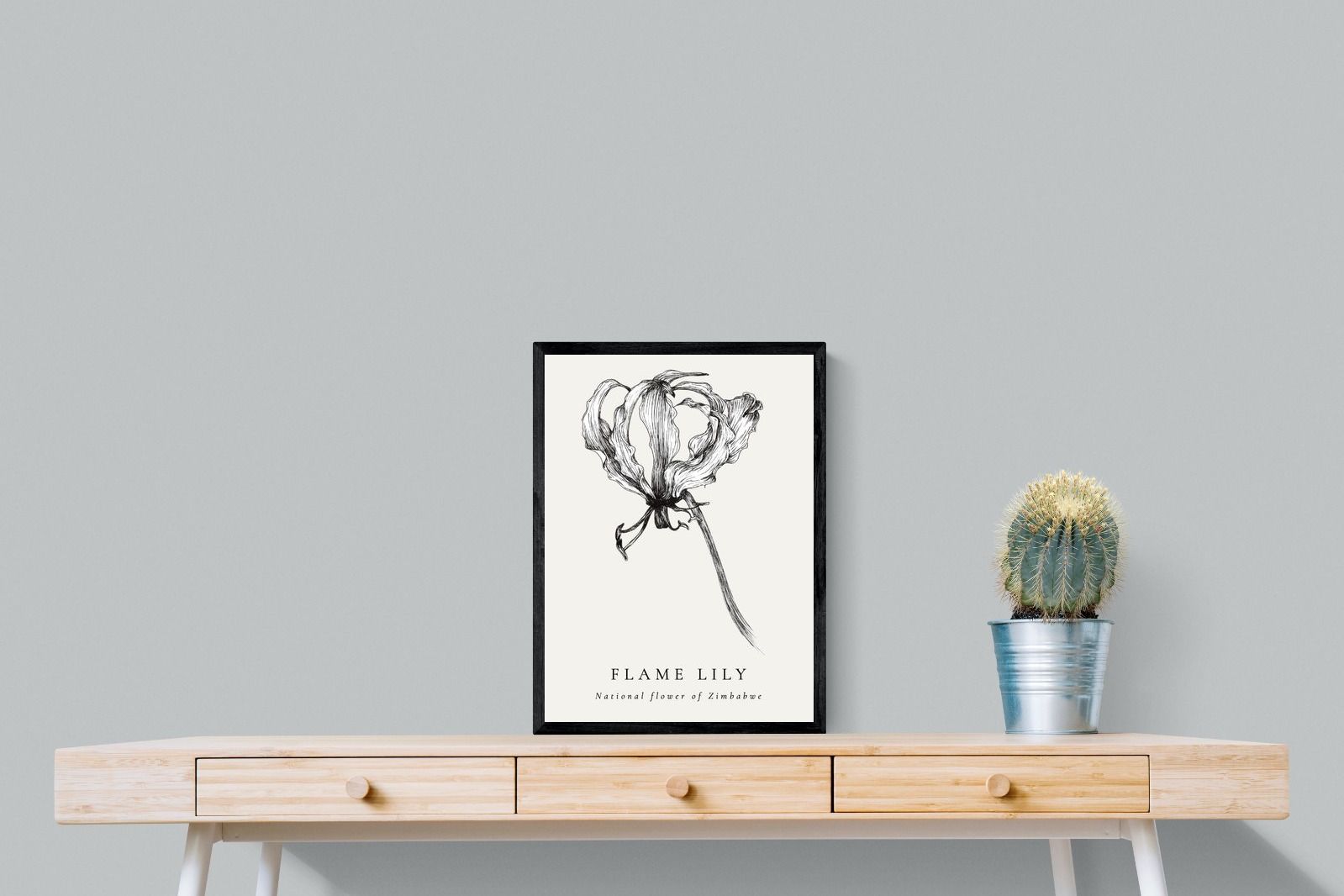 Pixalot ® Flame Lily Illustration
