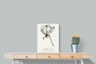 Pixalot ® Flame Lily Illustration