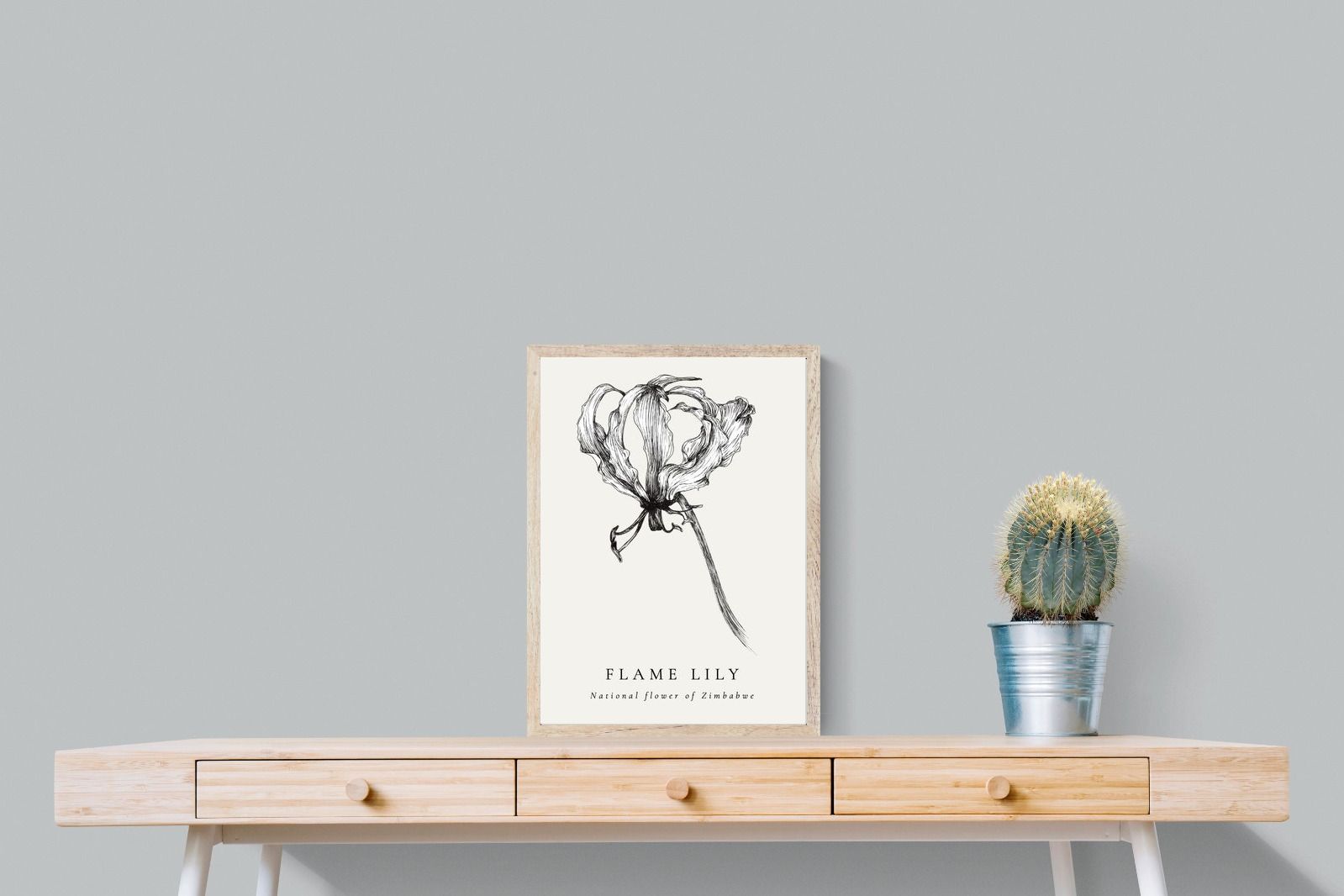Pixalot ® Flame Lily Illustration