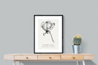 Pixalot ® Flame Lily Illustration