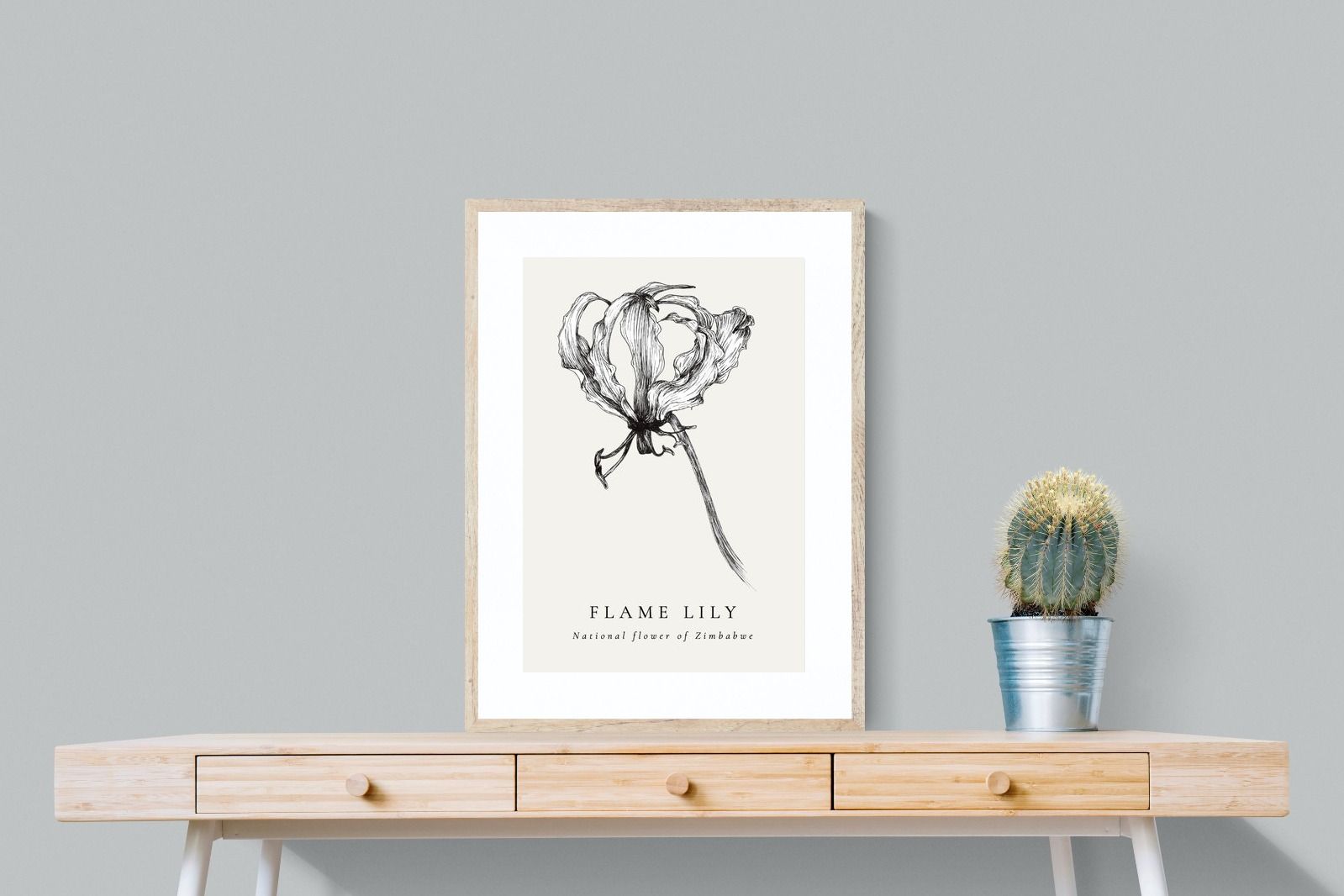 Pixalot ® Flame Lily Illustration