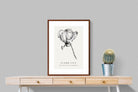 Pixalot ® Flame Lily Illustration
