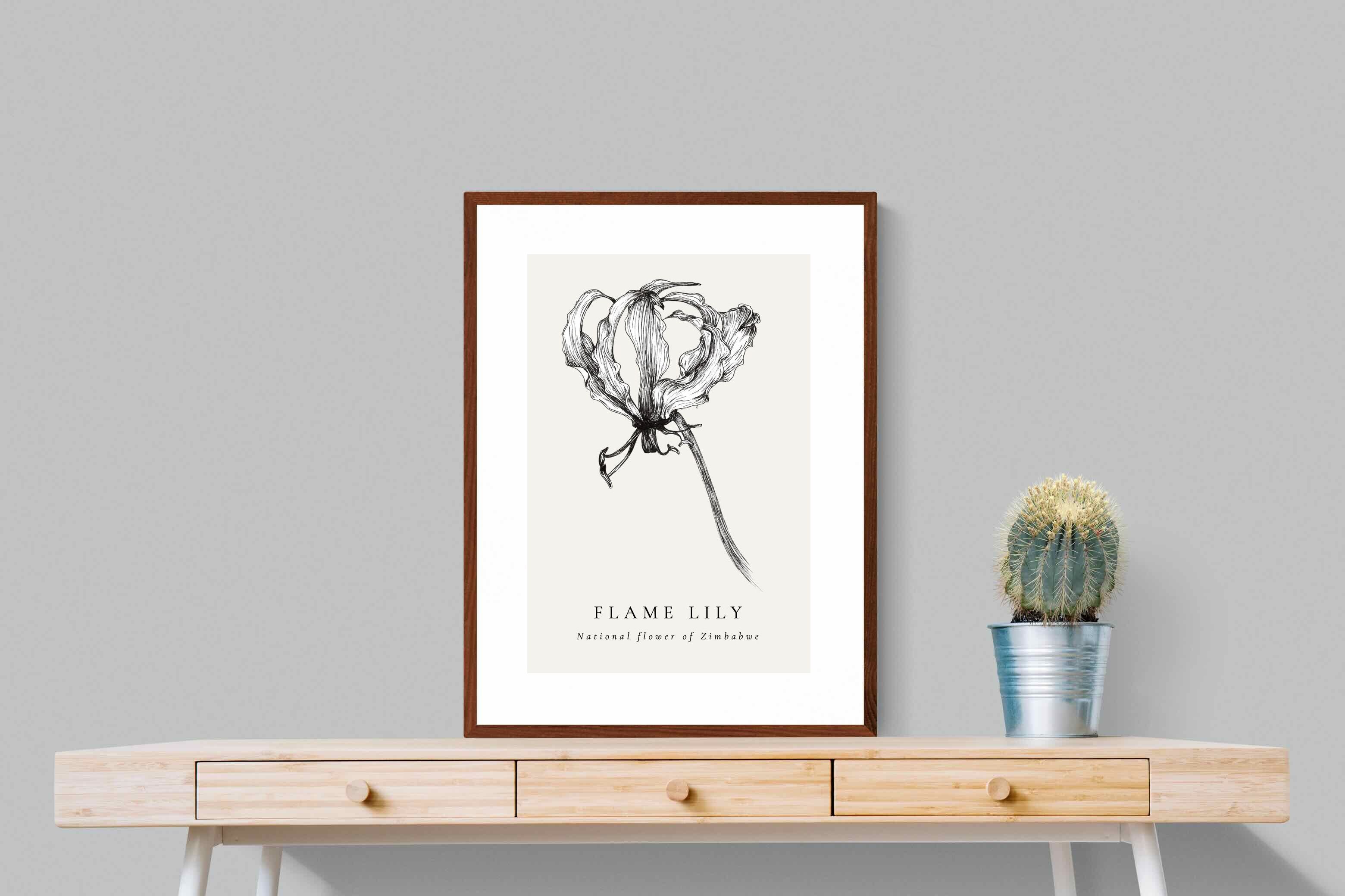 Pixalot ® Flame Lily Illustration
