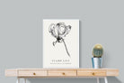 Pixalot ® Flame Lily Illustration