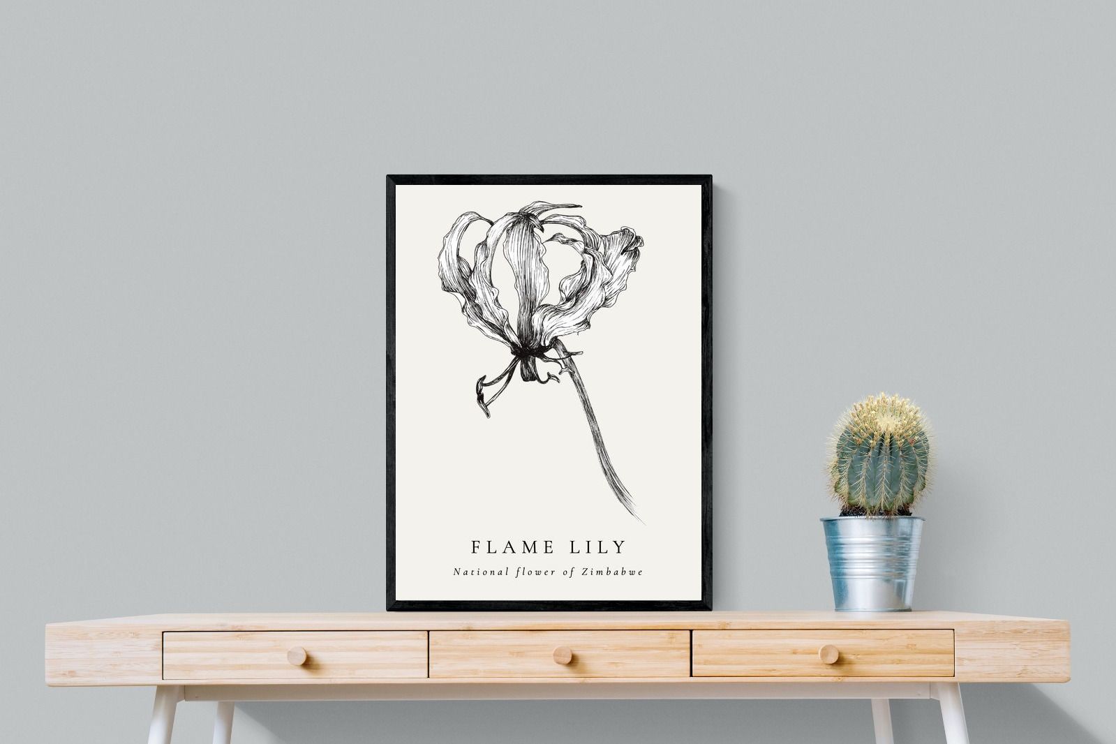 Pixalot ® Flame Lily Illustration