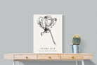 Pixalot ® Flame Lily Illustration