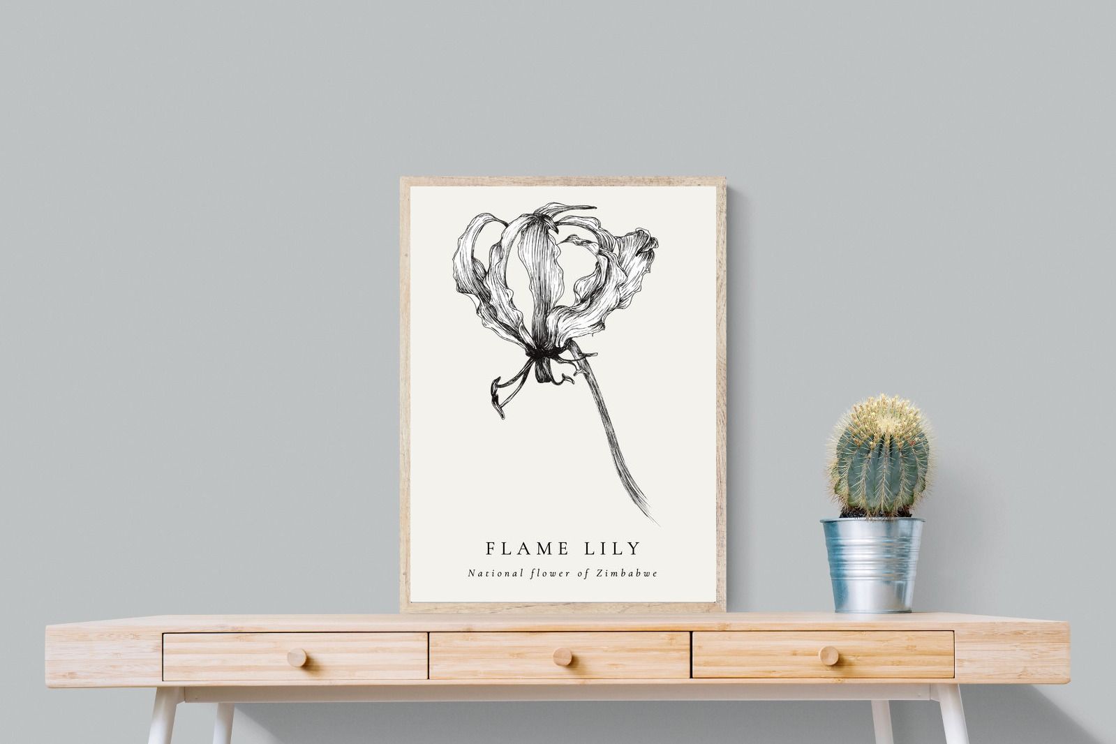 Pixalot ® Flame Lily Illustration