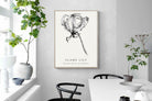 Pixalot ® Flame Lily Illustration