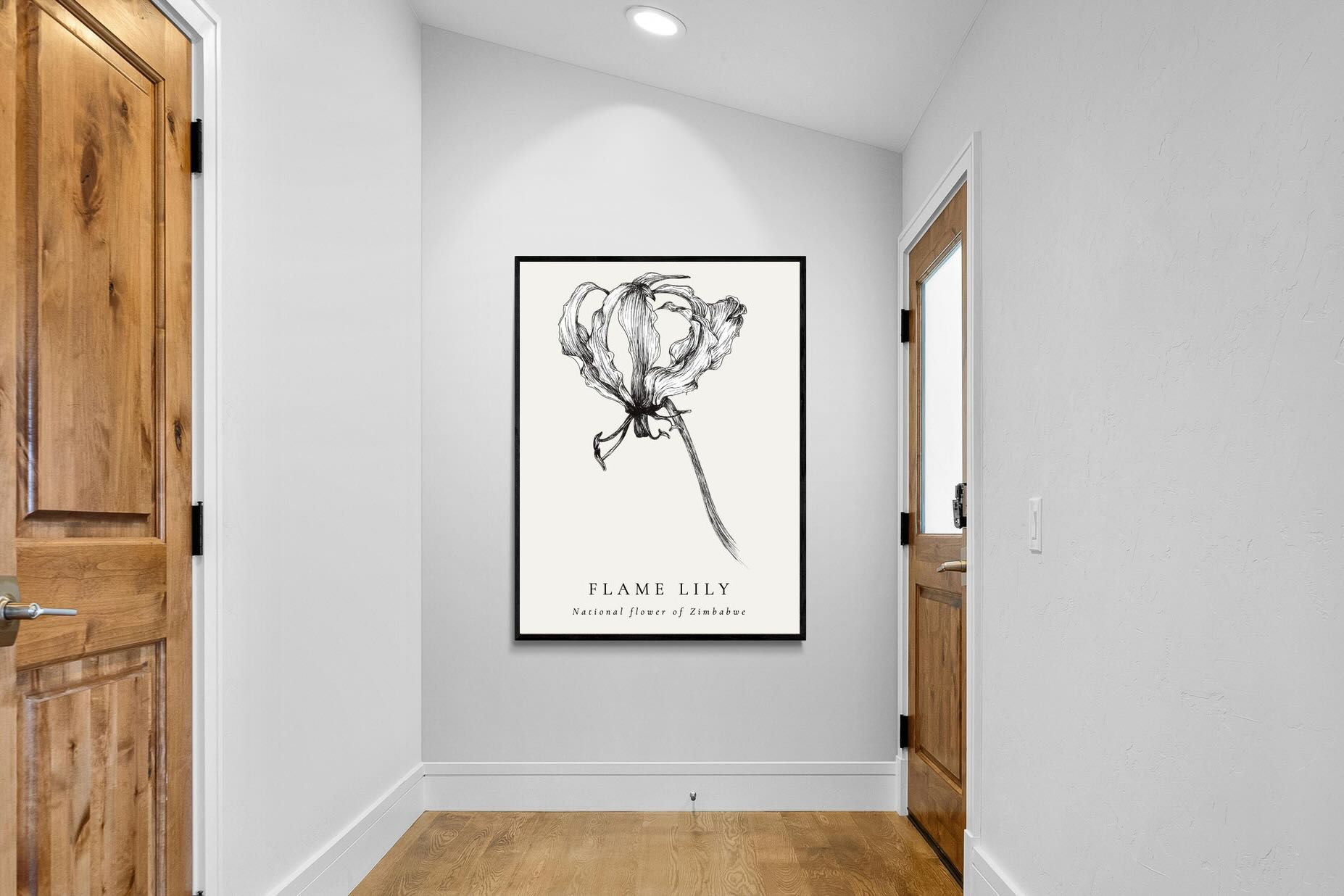 Pixalot ® Flame Lily Illustration
