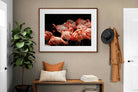 Pixalot ® Flamingo Flock