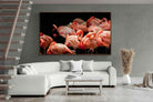 Pixalot ® Flamingo Flock