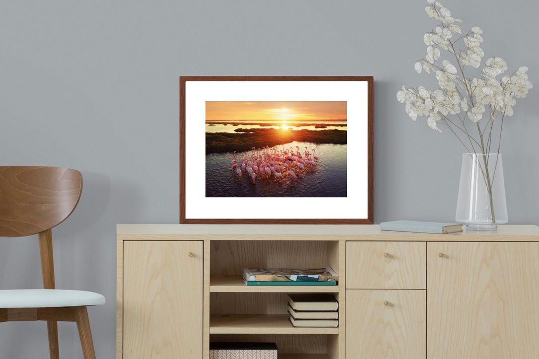 Pixalot ® Flamingos