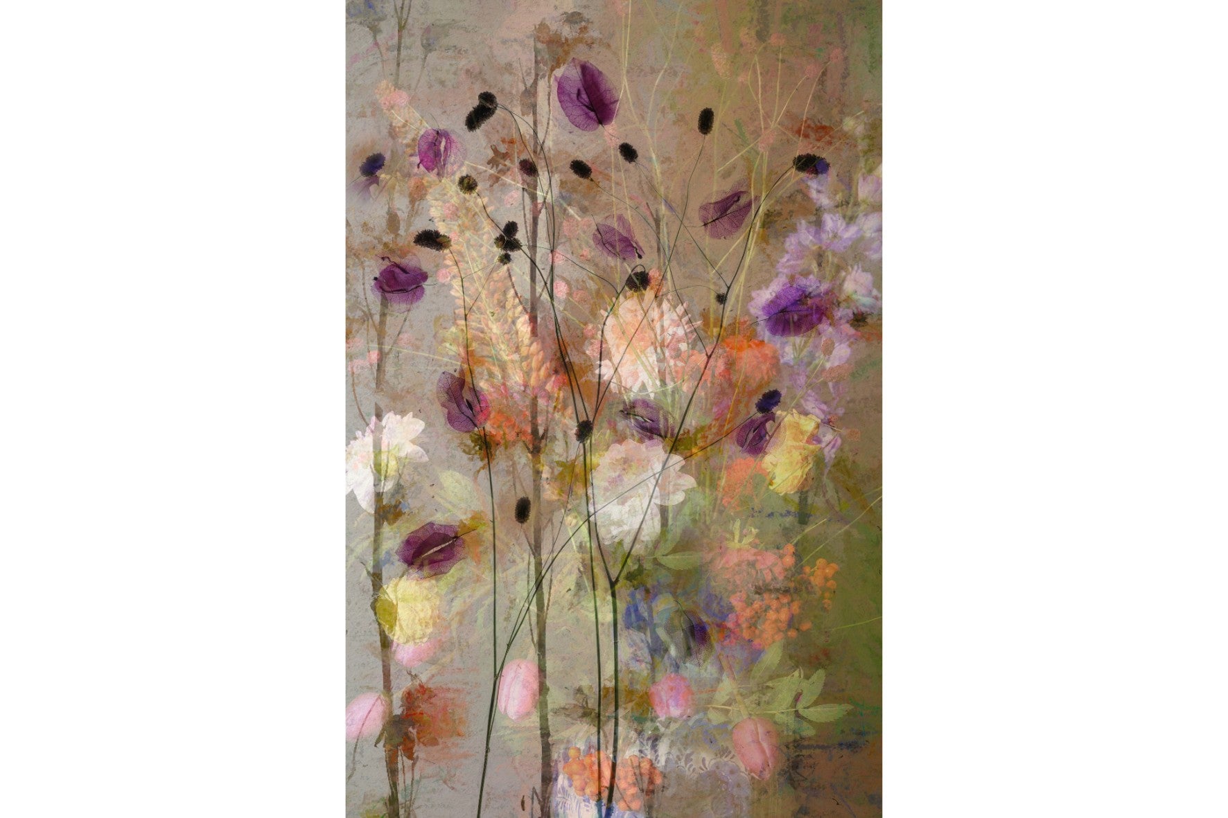 Fleeting Petals