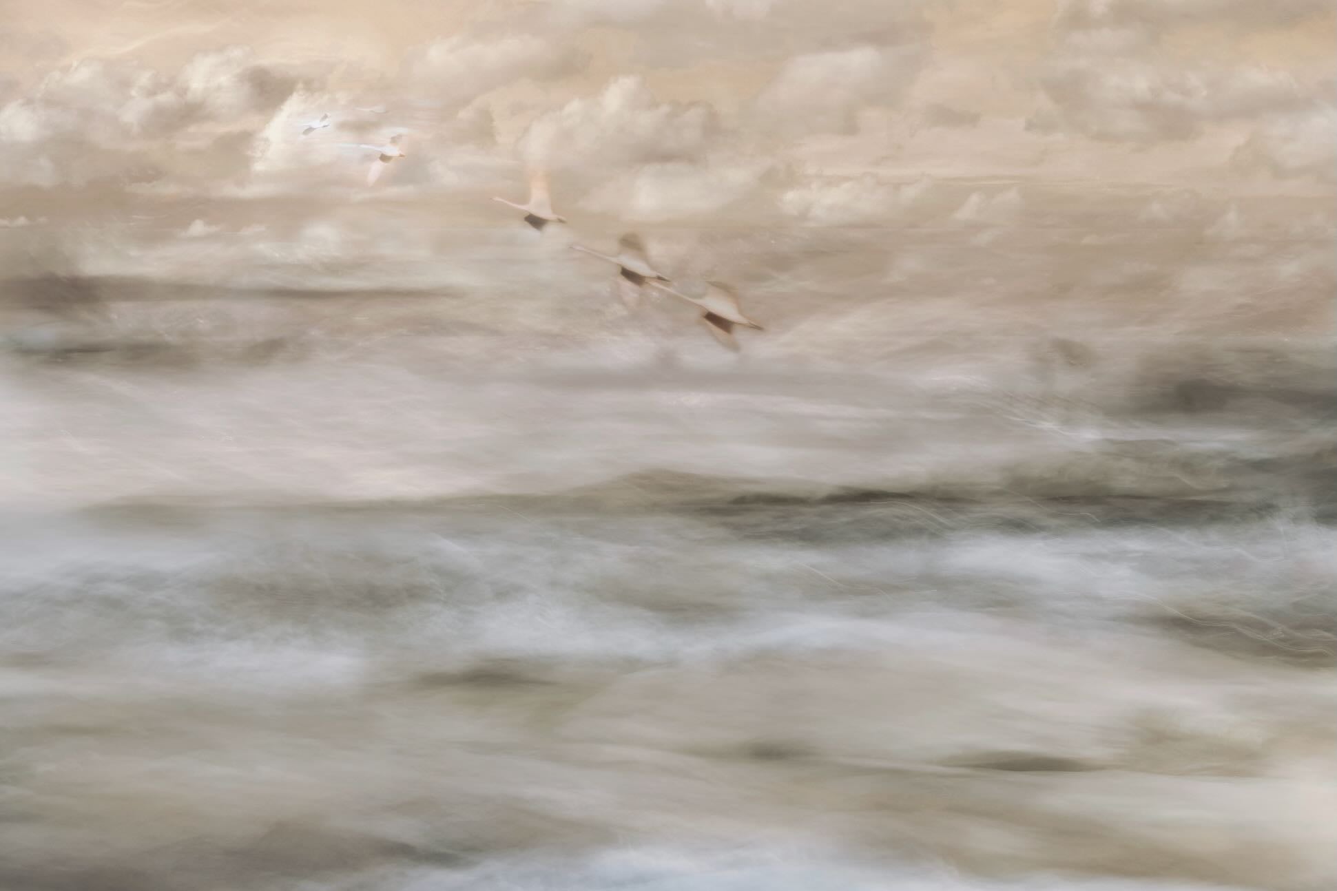 Flight Over Mist
