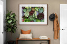 Pixalot ® Foliage
