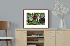 Pixalot ® Foliage