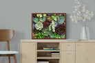 Pixalot ® Foliage