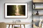 Pixalot ® Forest Road