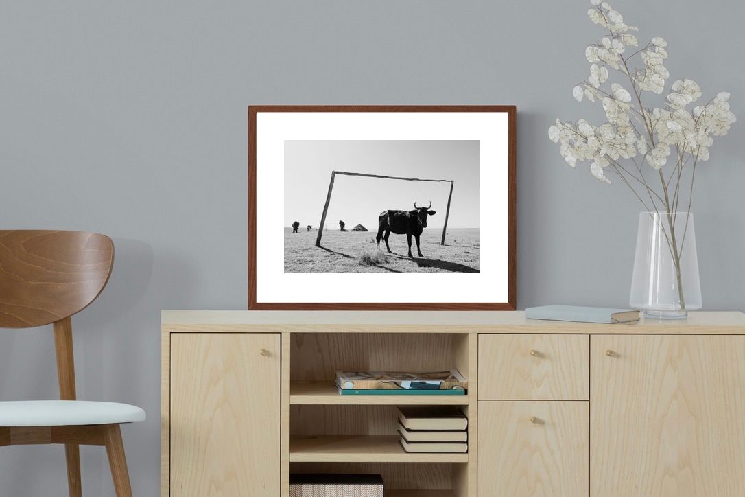 Pixalot Framed