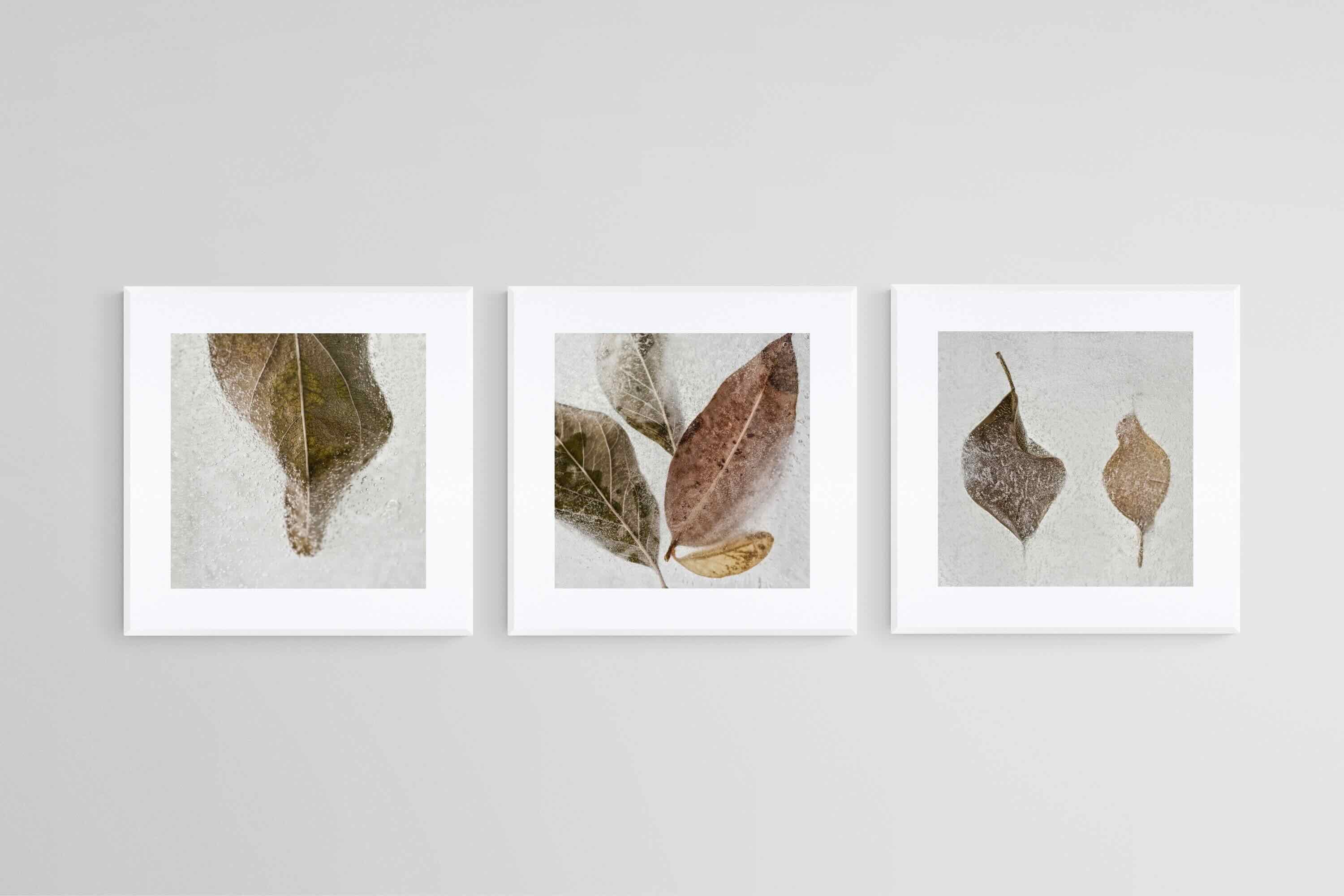 Frozen Leaves Set-Wall_Art-50 x 50cm (x3)-Framed Print-White-Pixalot