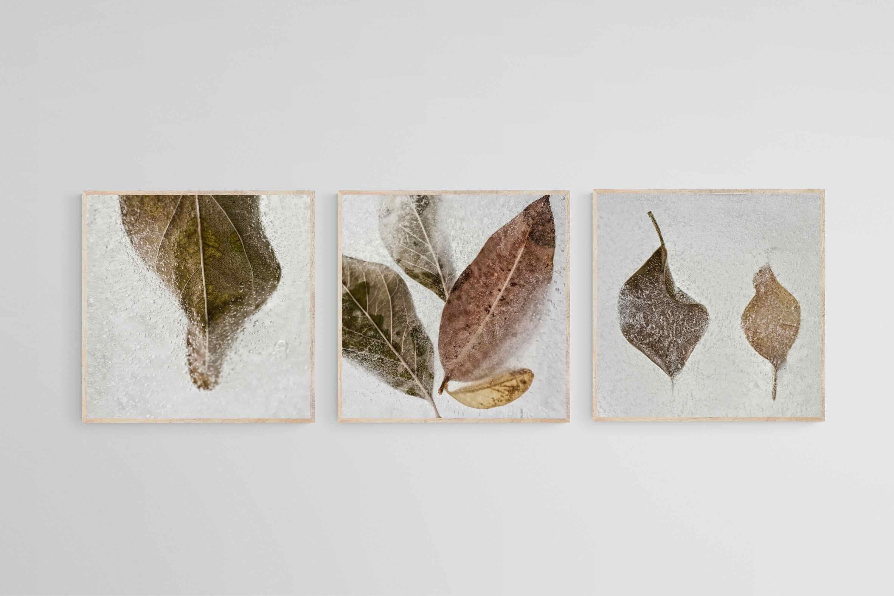 Frozen Leaves Set-Wall_Art-50 x 50cm (x3)-Mounted Canvas-Wood-Pixalot