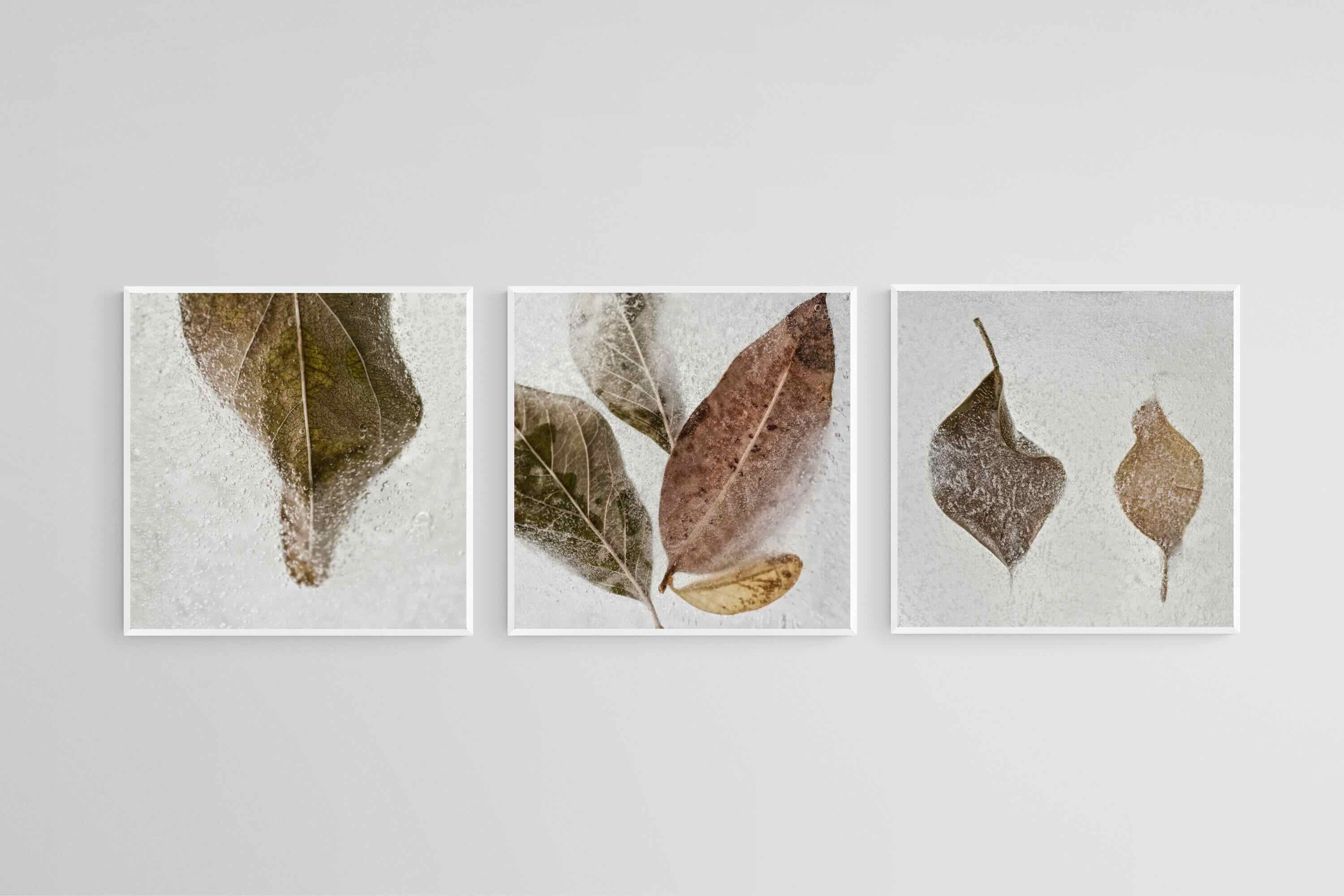 Frozen Leaves Set-Wall_Art-50 x 50cm (x3)-Mounted Canvas-White-Pixalot