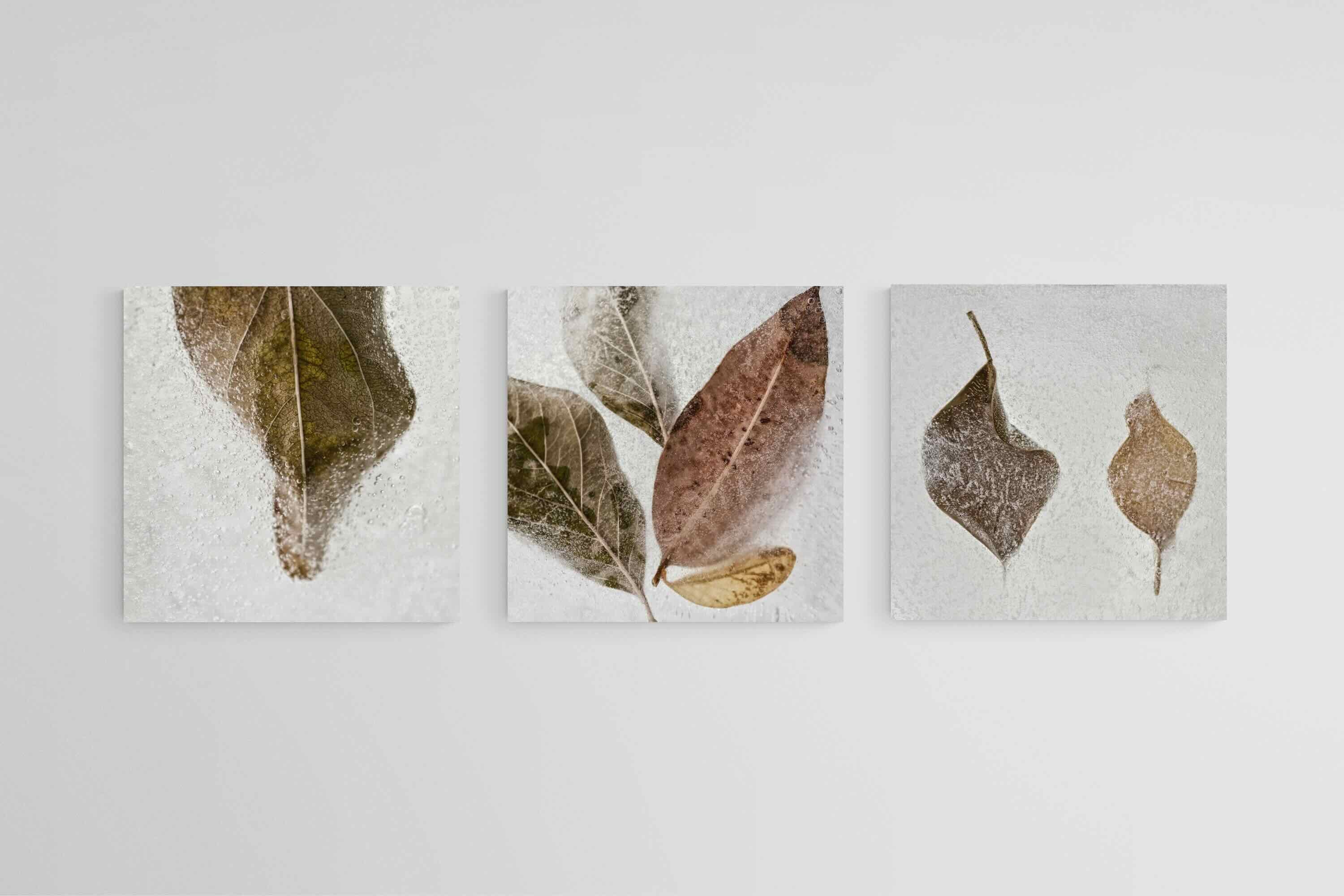 Frozen Leaves Set-Wall_Art-50 x 50cm (x3)-Mounted Canvas-No Frame-Pixalot
