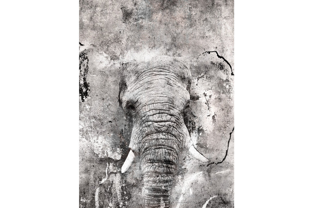Gaja Invert Wall Art | Canvas & Framed Prints – Pixalot