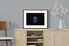 Pixalot ® Game of Thrones