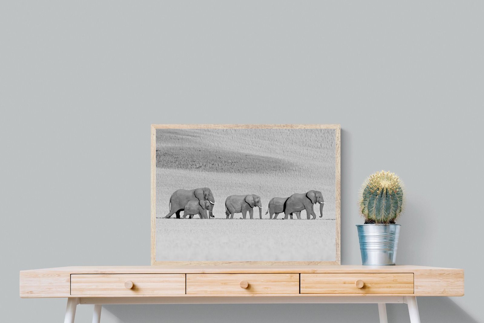 Pixalot ® Gentle Procession