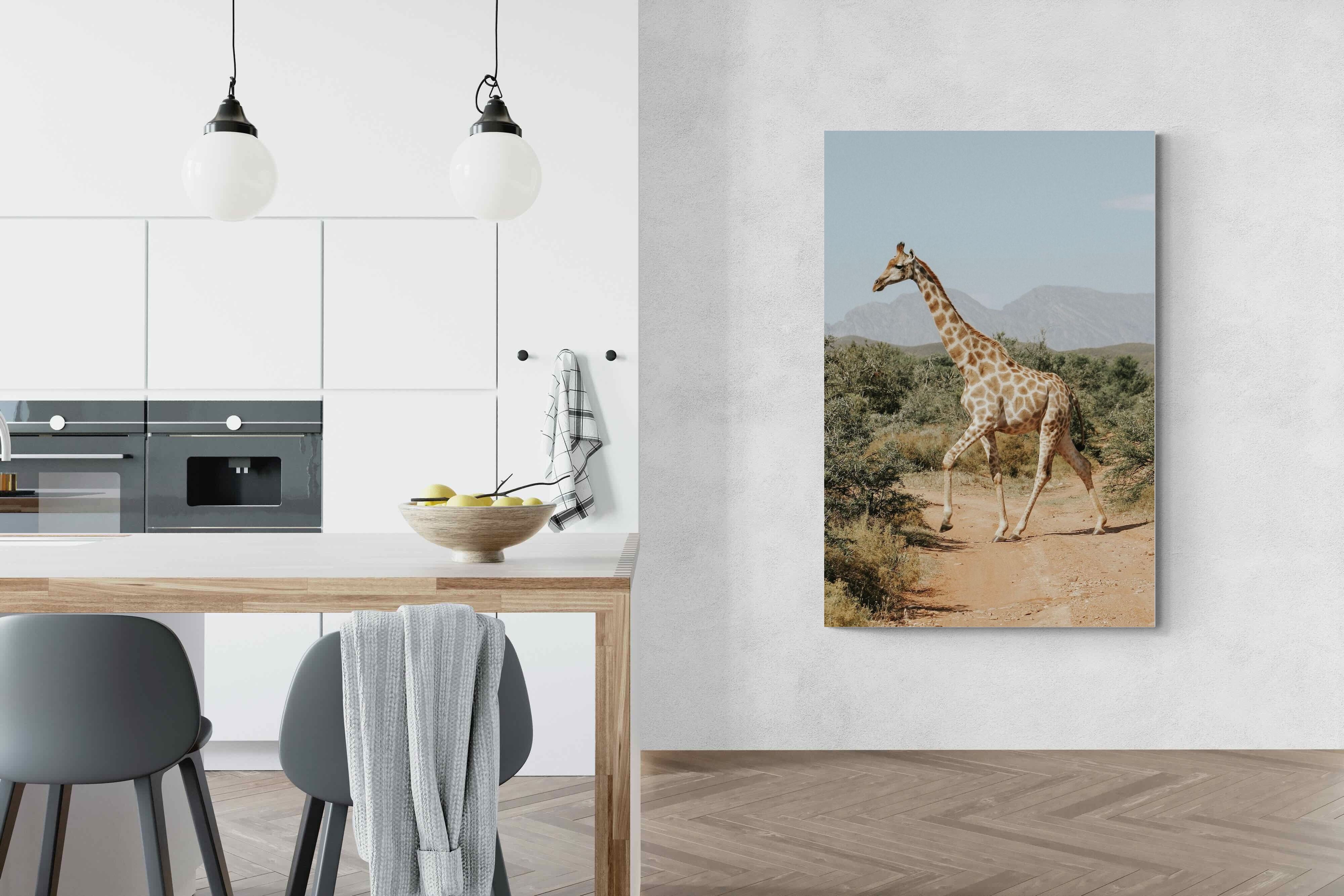 Pixalot Giraffe Crossing