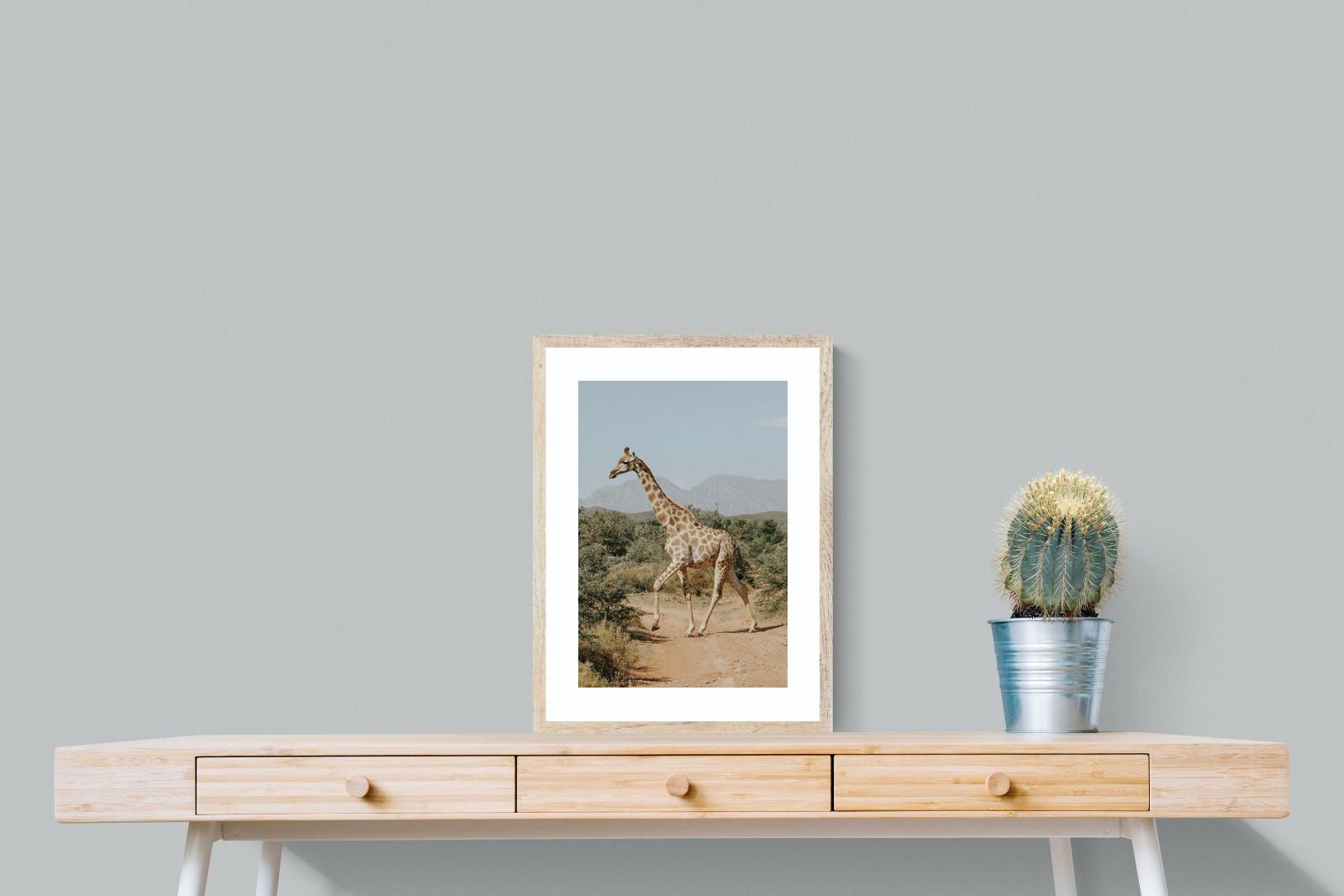 Pixalot Giraffe Crossing