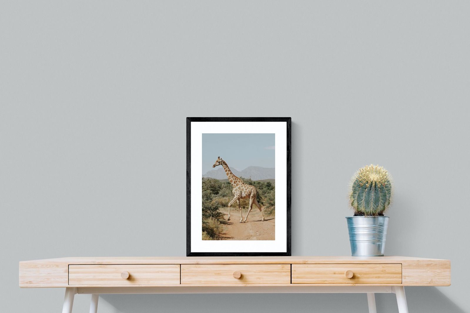 Pixalot Giraffe Crossing