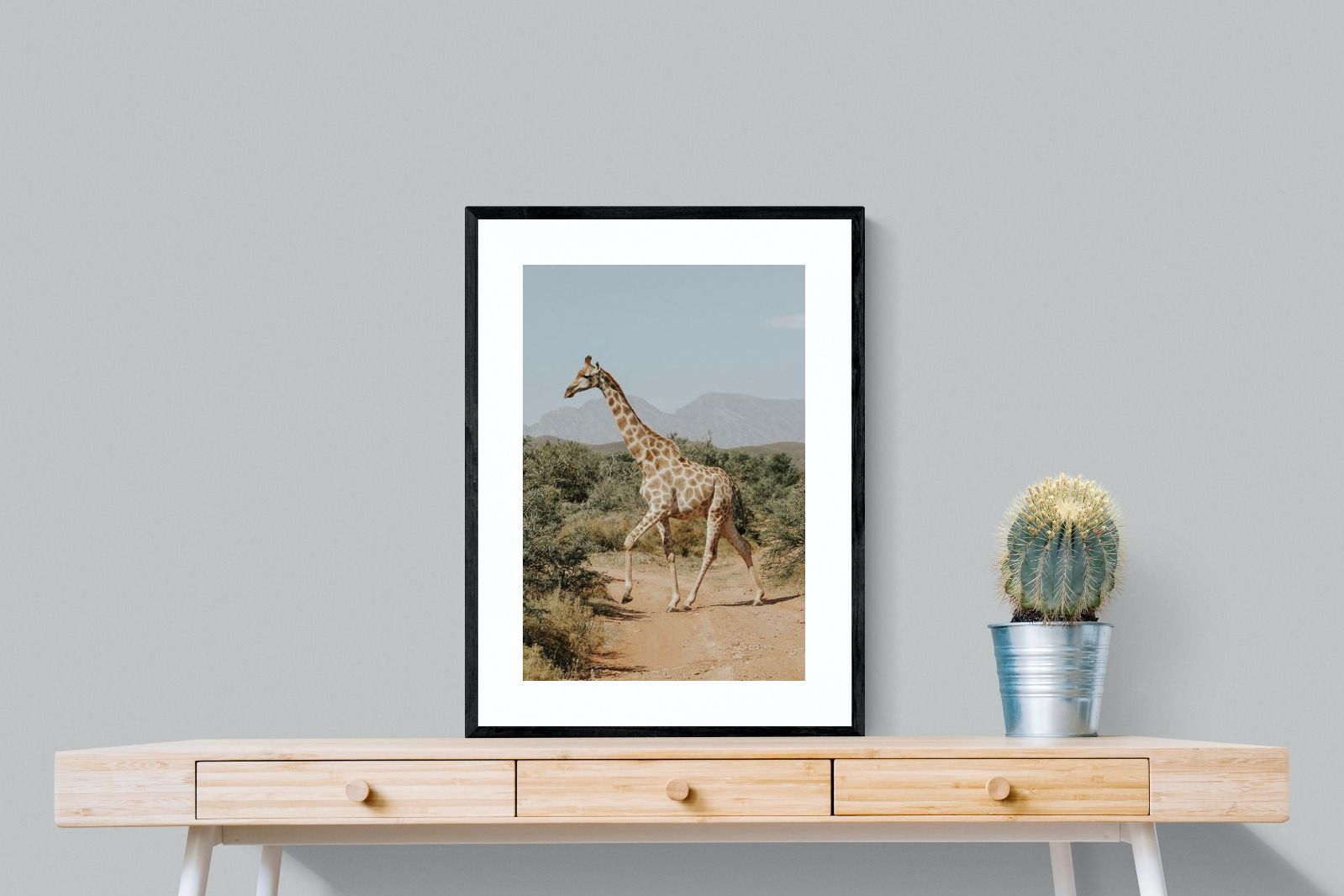 Pixalot Giraffe Crossing