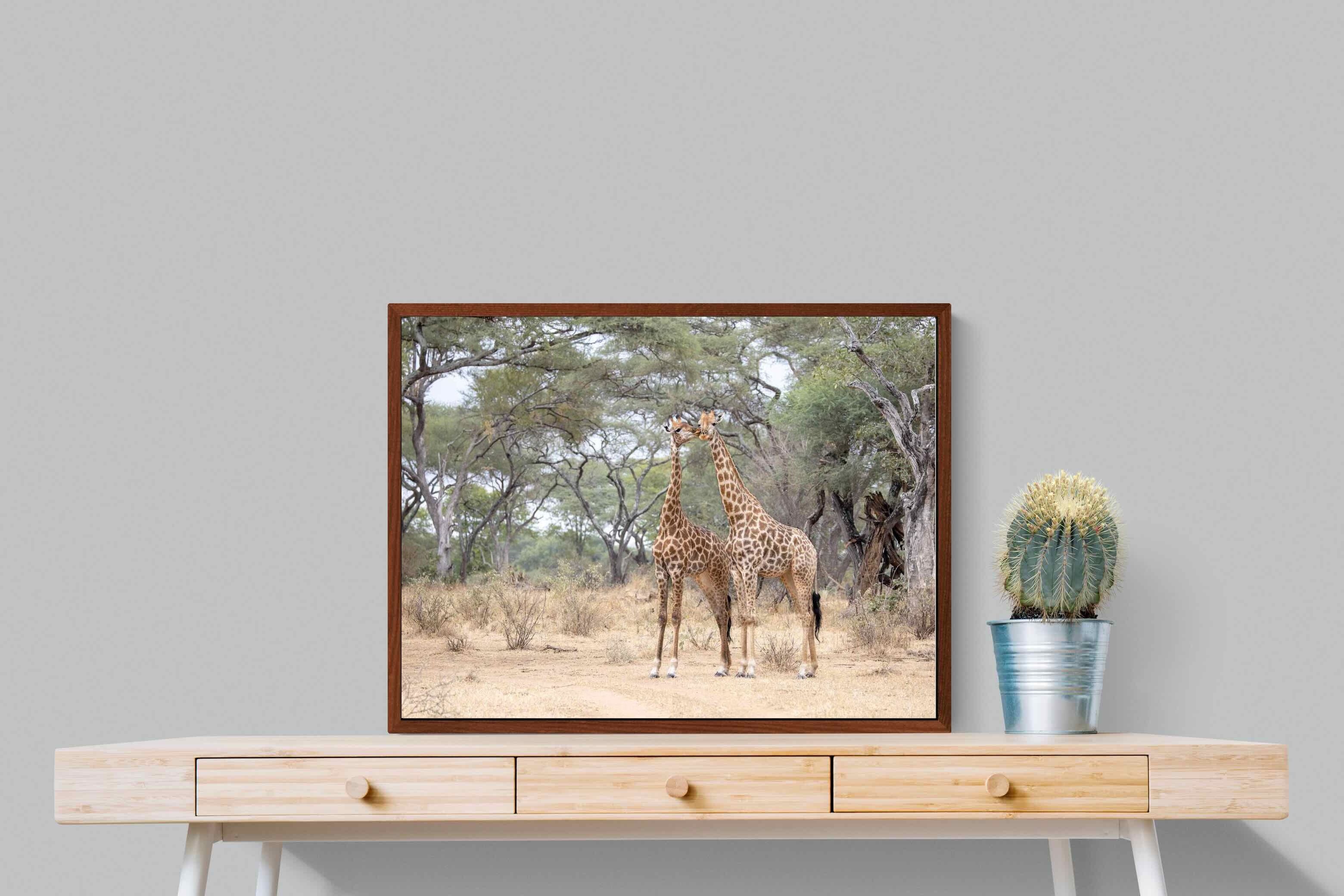 Pixalot Giraffe Kisses
