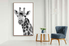 Pixalot ® Giraffe Spa