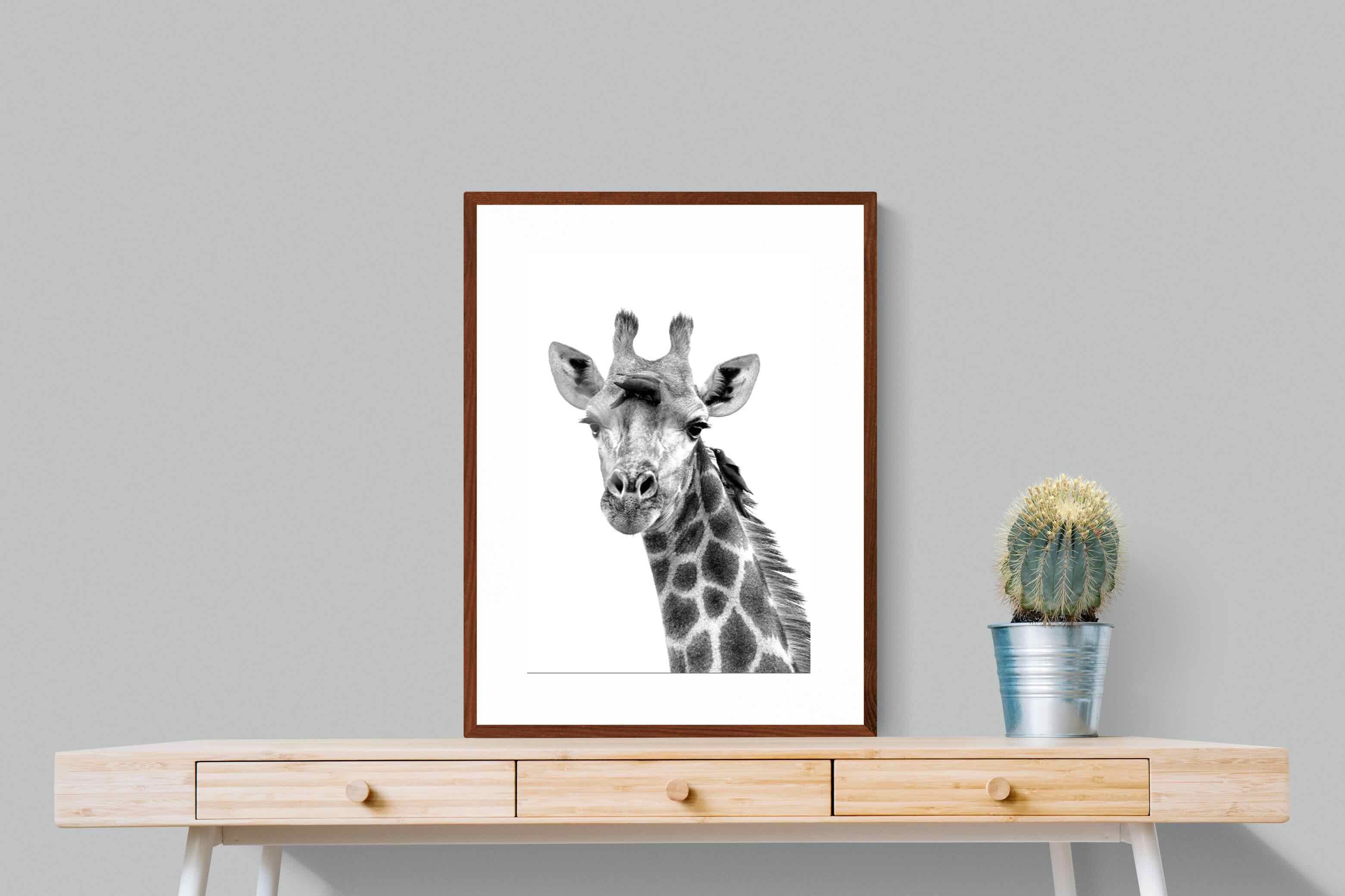 Pixalot ® Giraffe Spa
