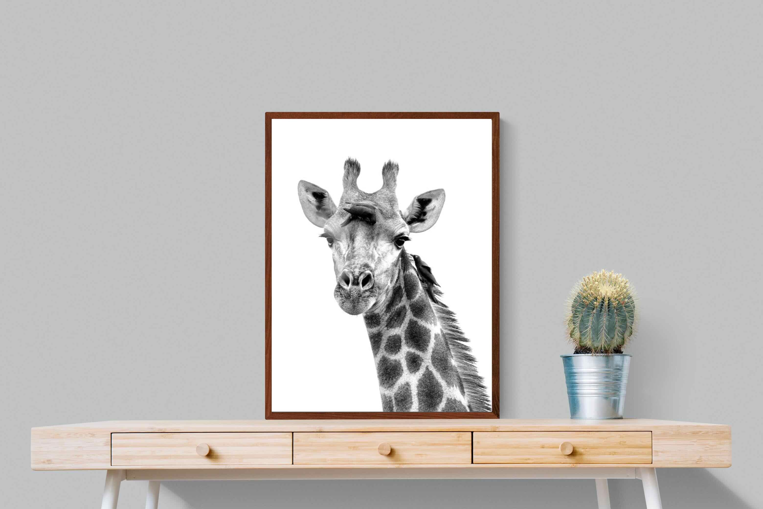 Pixalot ® Giraffe Spa