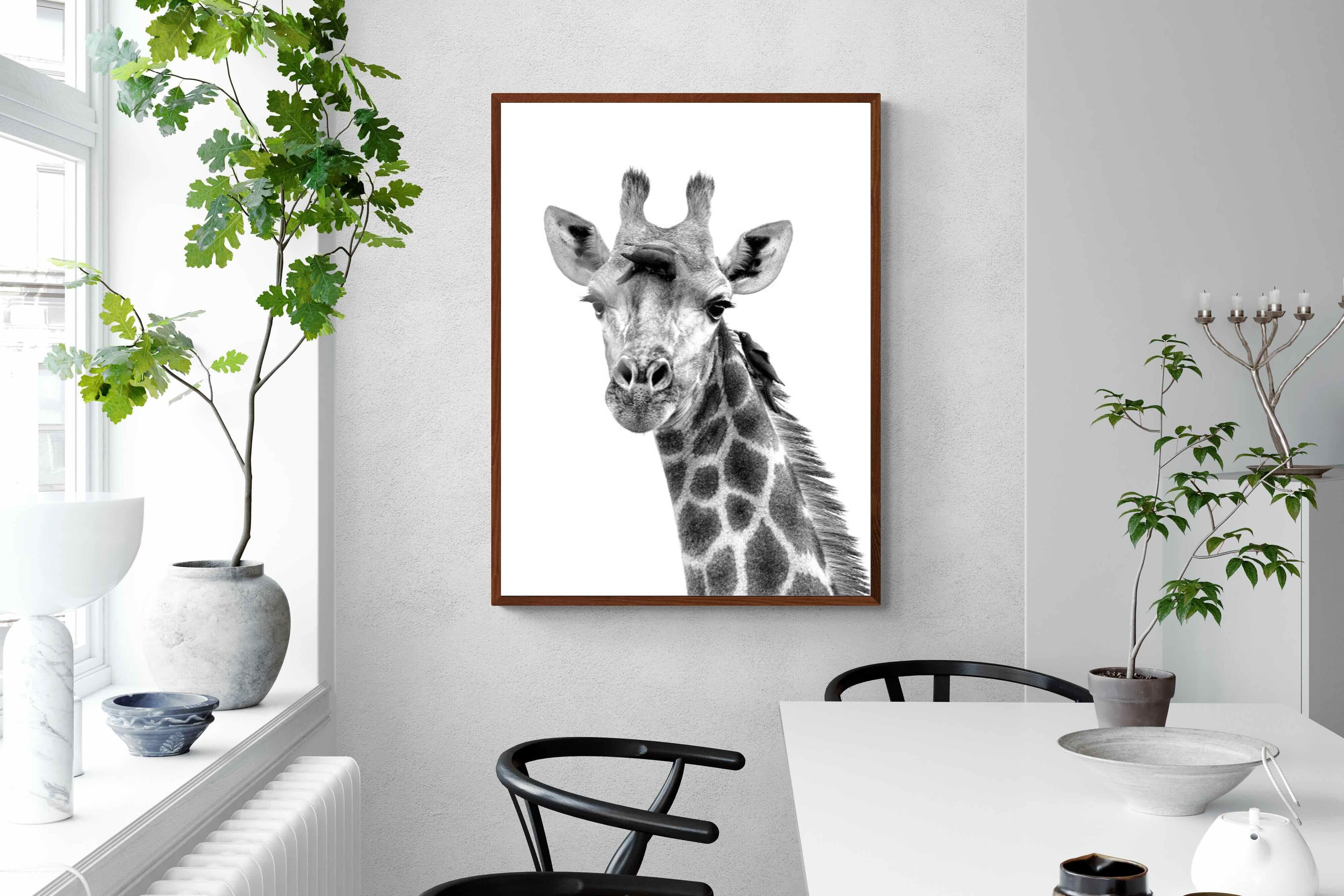 Pixalot ® Giraffe Spa